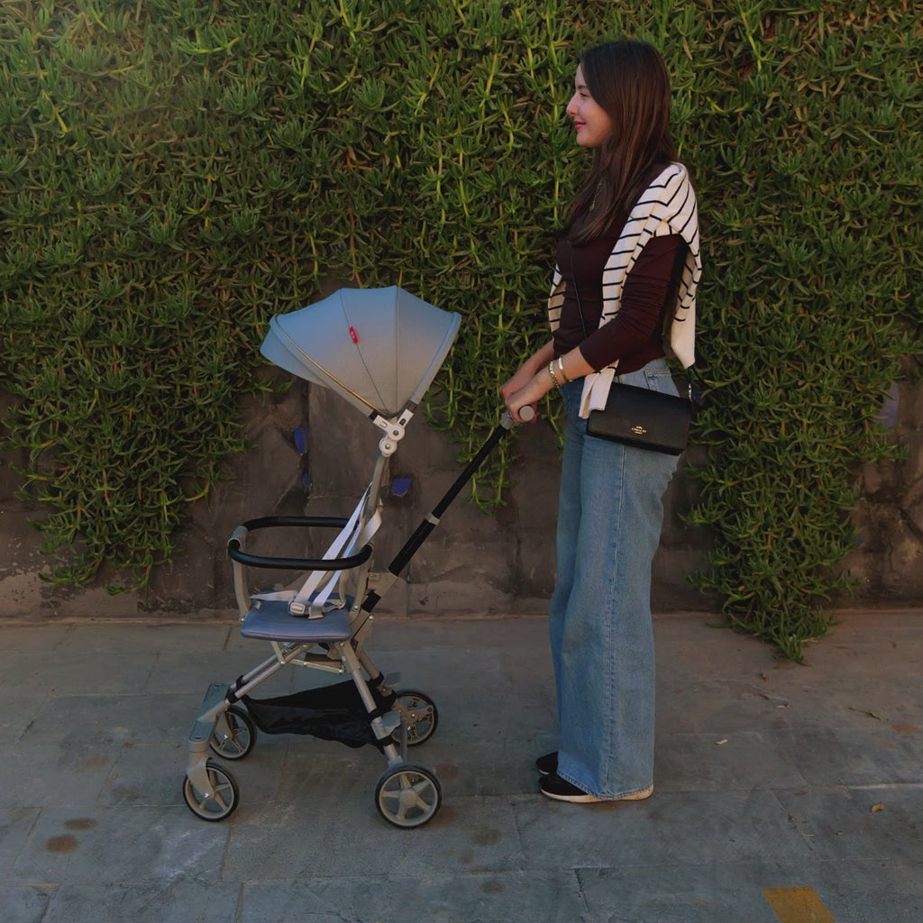 Snap & go Stroller